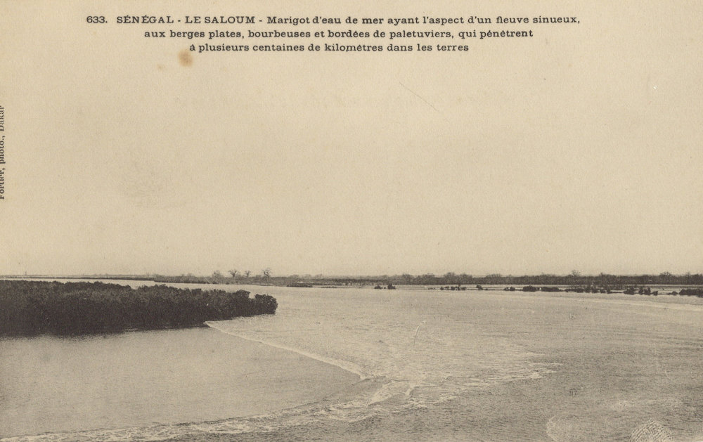 SÉNÉGAL – LE SALOUM