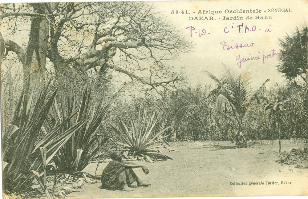 DAKAR – Jardin de Hann