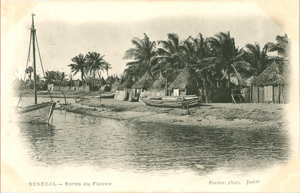 SÉNÉGAL – Bords du Fleuve