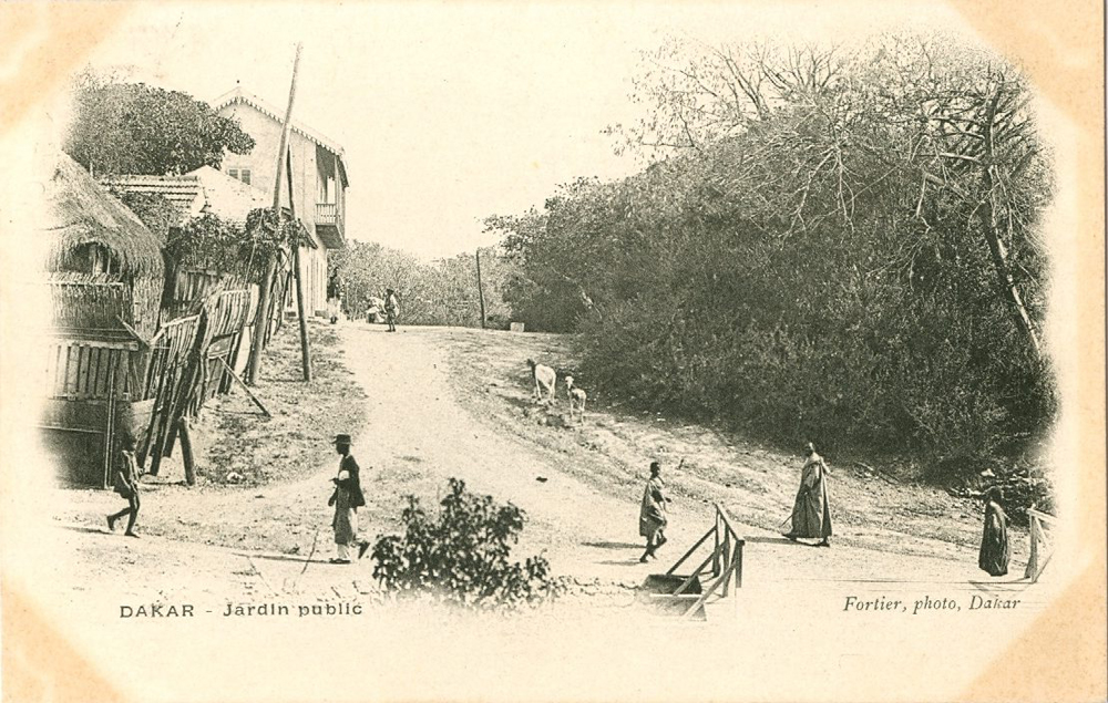 DAKAR – Jardin Publique