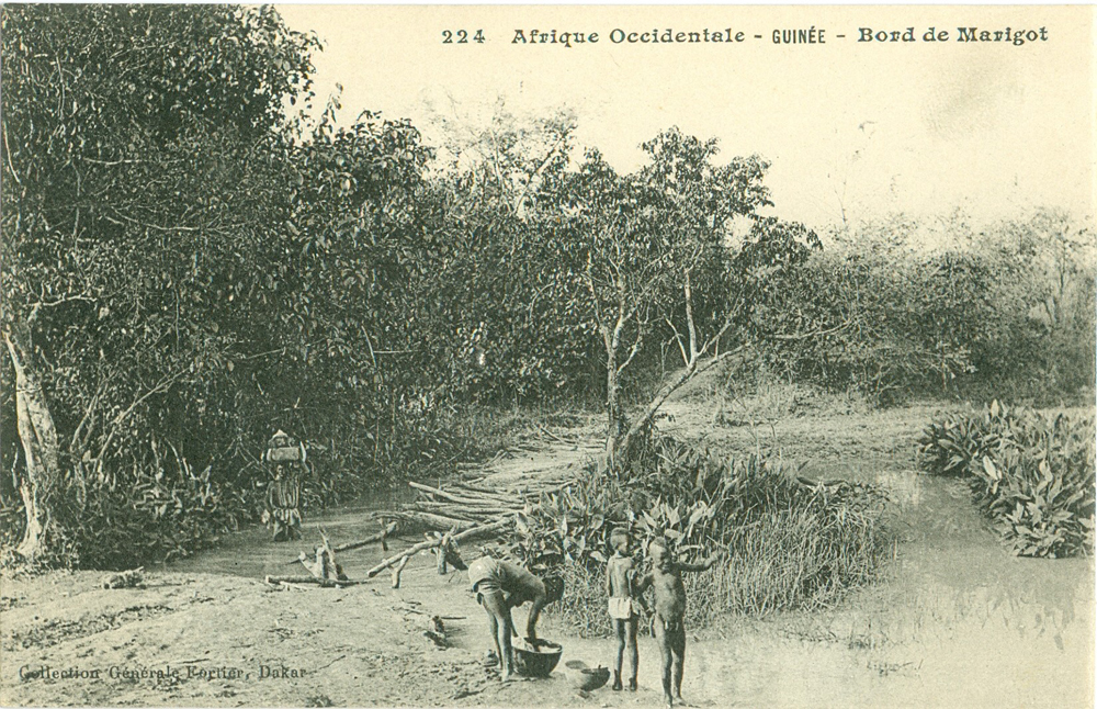 GUINÉE – Bord de Marigot.