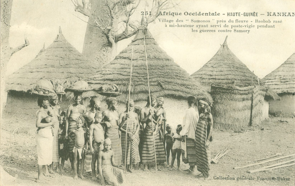 HAUTE-GUINÉE – KANKAN – Village des “Somonos” près du fleuve. Baobab rasé à mi-hauter ayant servi de poste-vigie pendant les guerre contre Samory