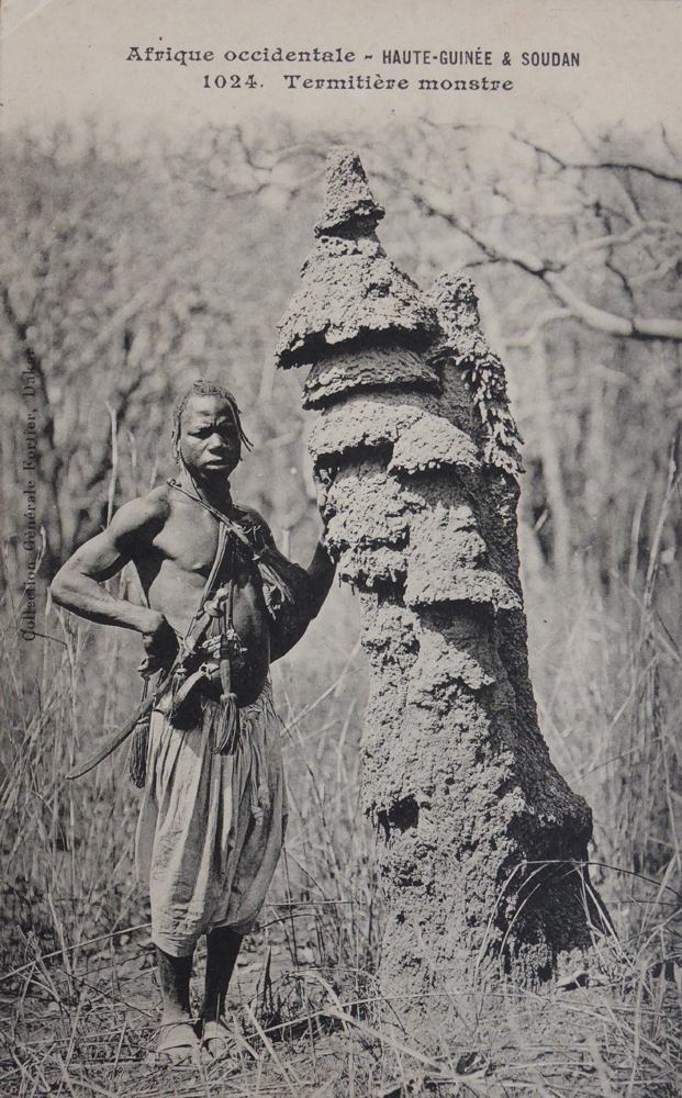 HAUTE-GUINÉE & SOUDAN – Termitière monstre