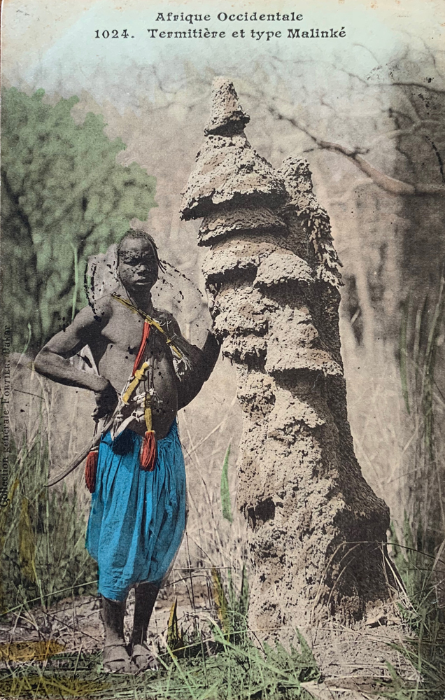 HAUTE-GUINÉE & SOUDAN – Termitière monstre