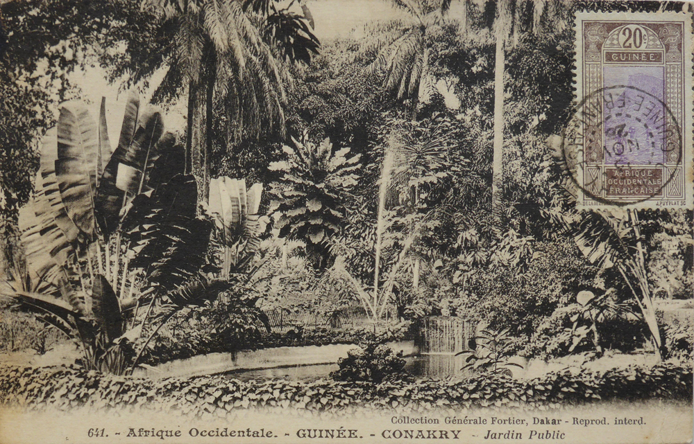 GUINÉE – CONAKRY – Jardin Public