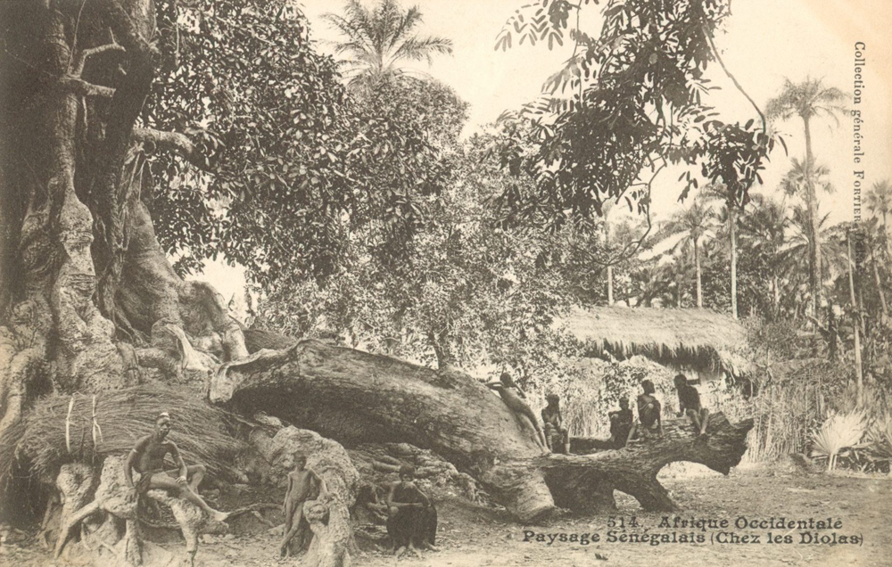 Paysage Sénégalais (Chez les Diolas)