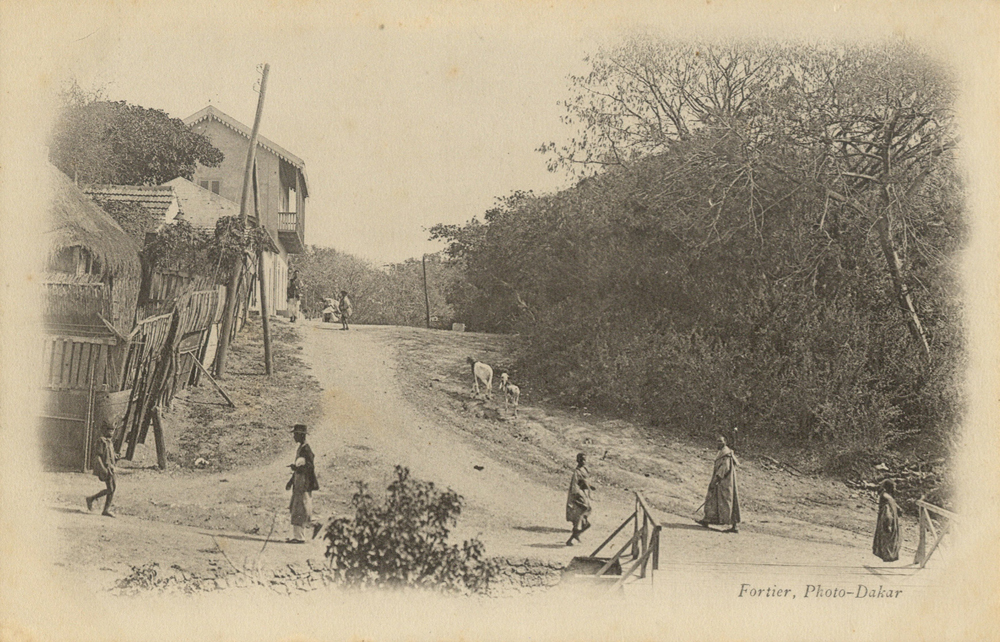 (DAKAR – Jardin Publique)