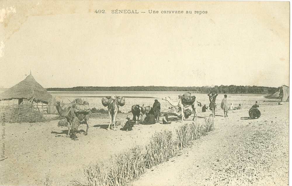 SÉNÉGAL – Une caravane au repos