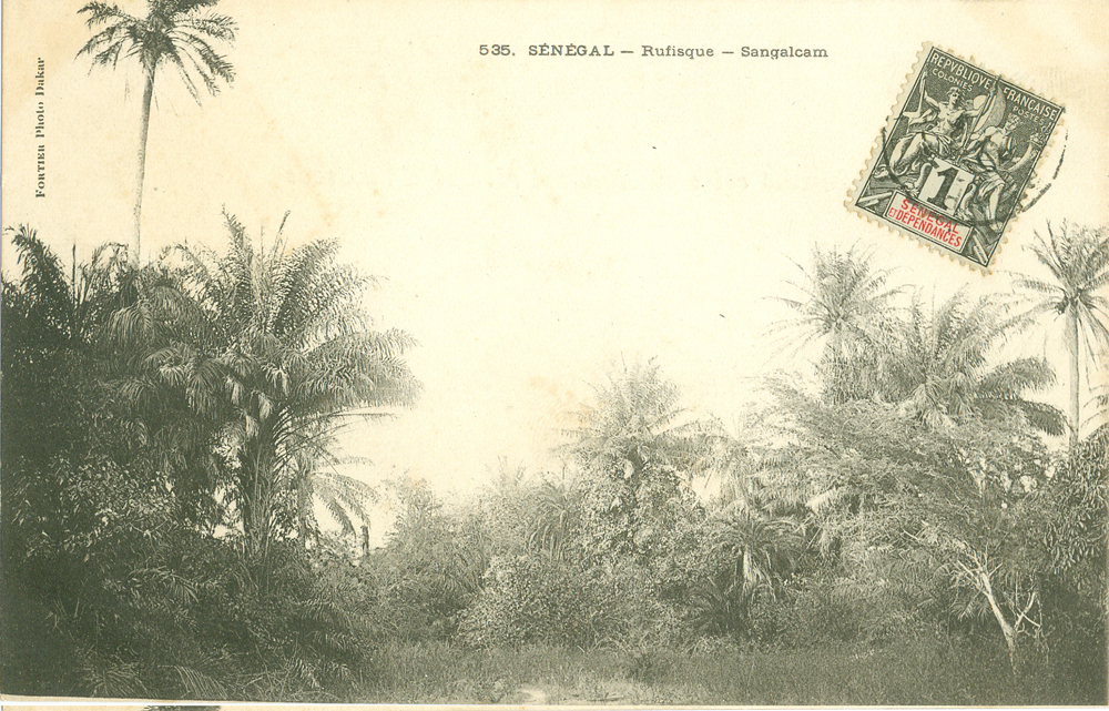 SÉNÉGAL – Rufisque – Sangalcarn