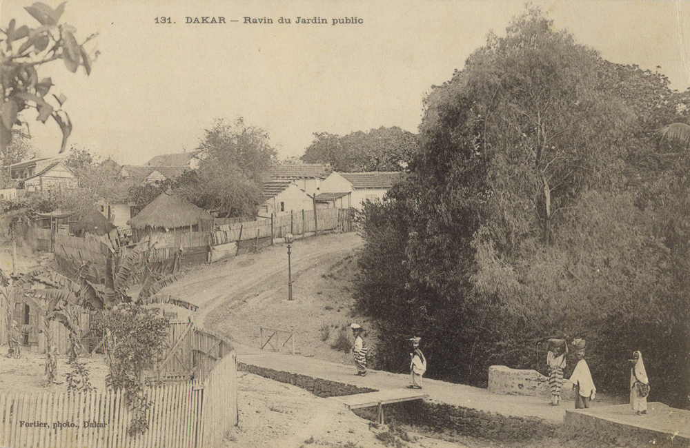 DAKAR – Ravin du Jardin Public