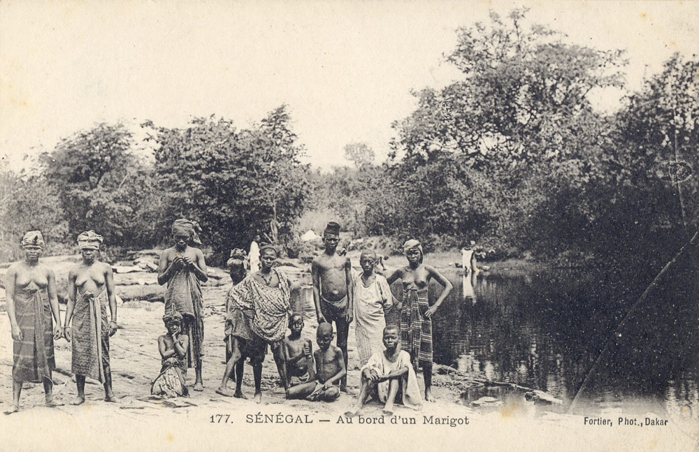 SÉNÉGAL – Au bord d’un Marigot