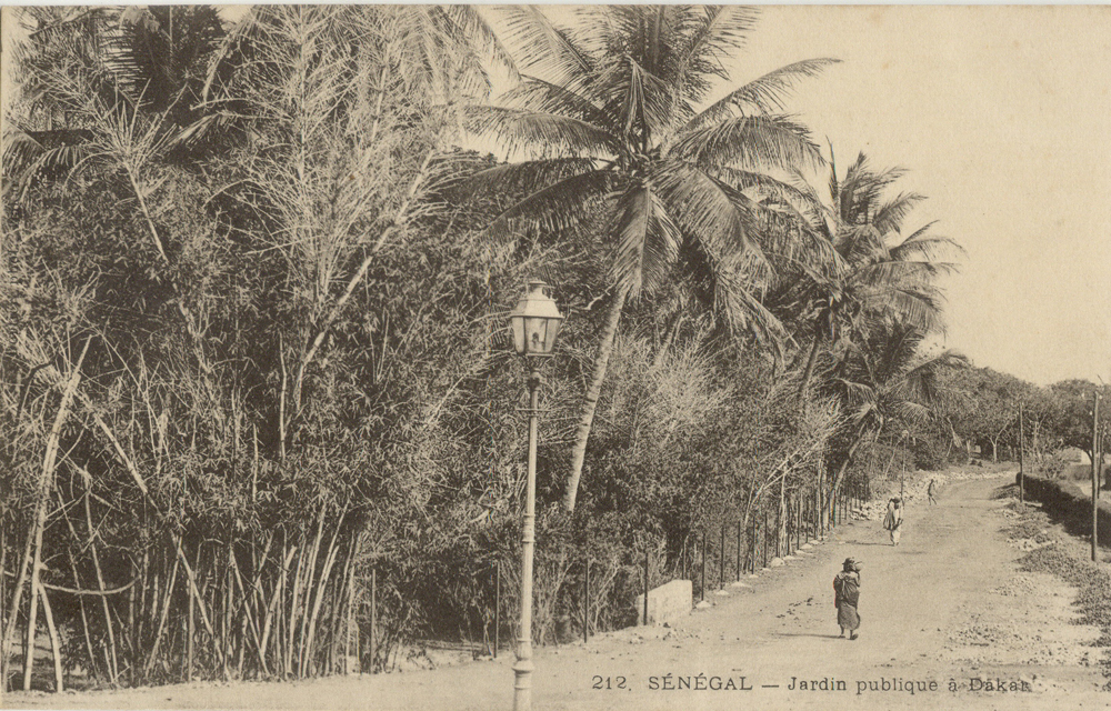 SÉNÉGAL – Jardin publique à Dakar