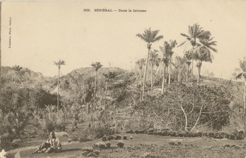 SÉNÉGAL – Dans la brousse