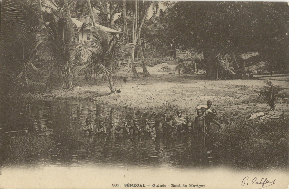 SÉNÉGAL – Guinée – Bord de Marigot