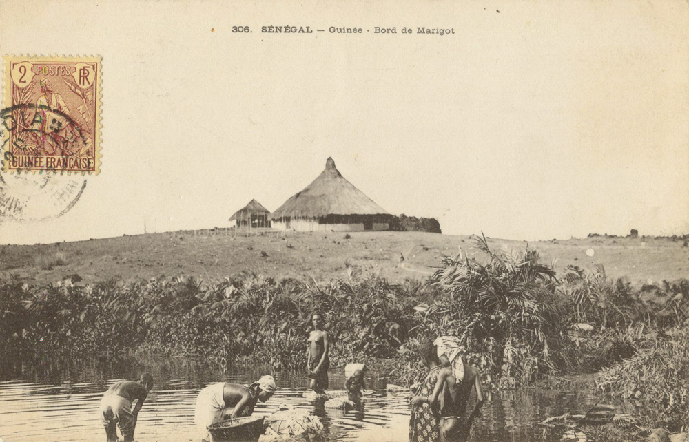 SÉNÉGAL – Guinée – Bord de Marigot