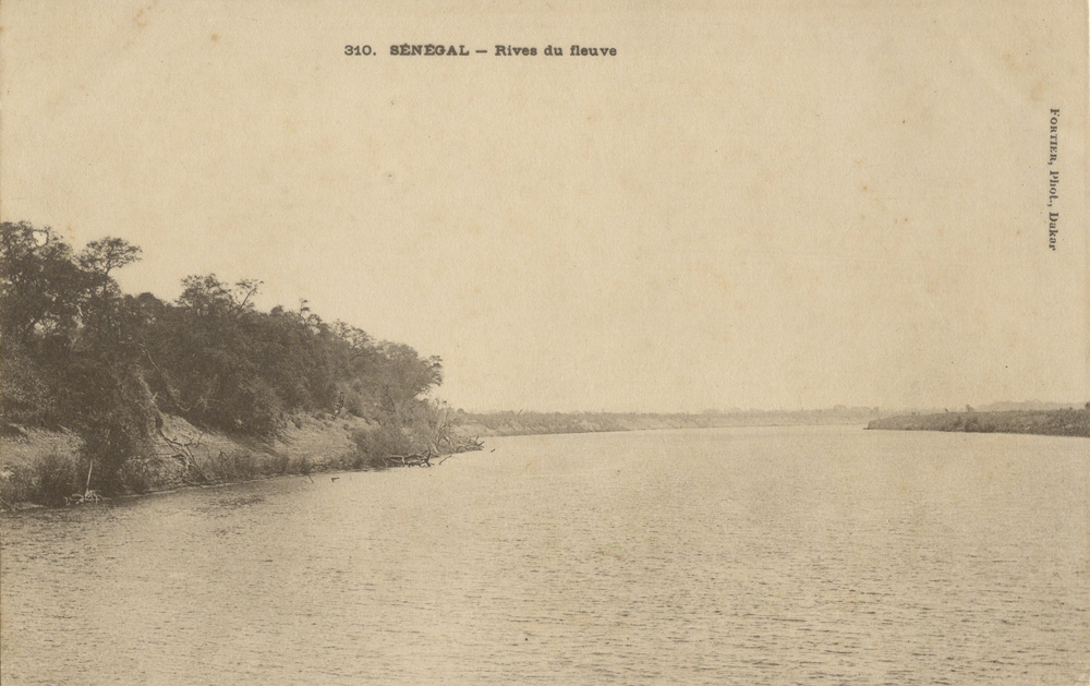 SÉNÉGAL – Rives du fleuve