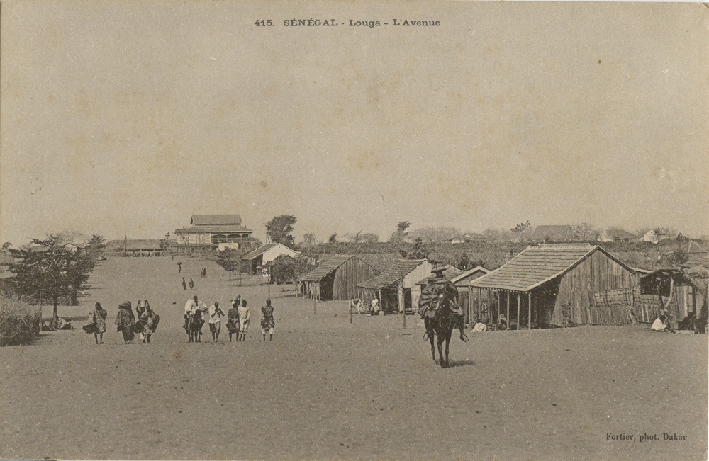 SÉNÉGAL – Louga – L’Avenue