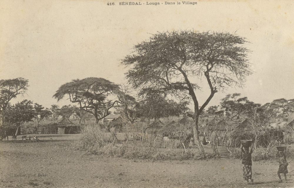 SÉNÉGAL – Louga – Dans le village