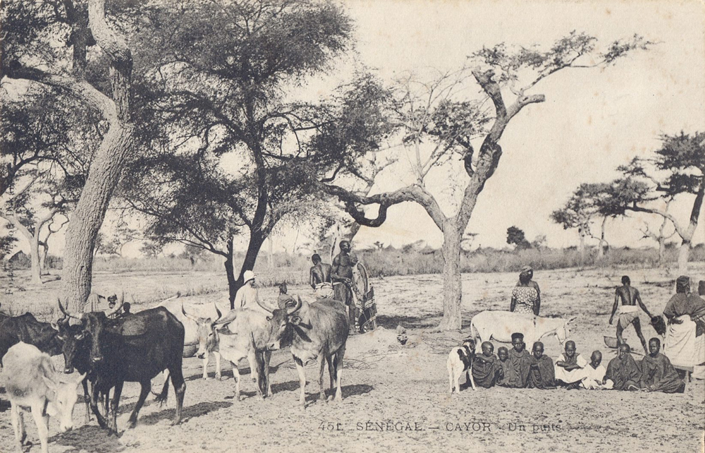 SÉNÉGAL – CAYOR – Un puits