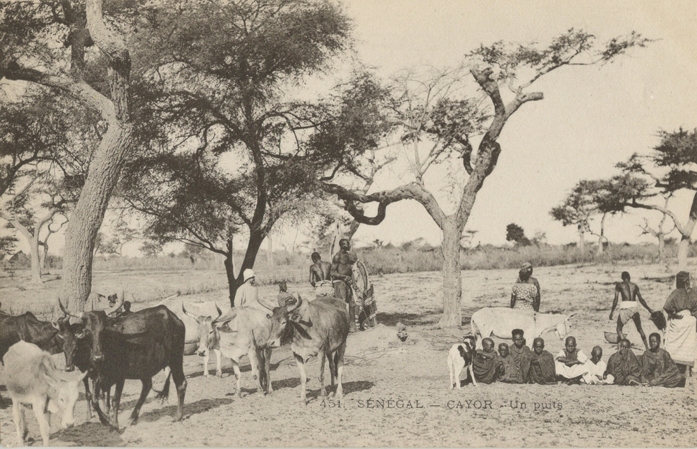 SÉNÉGAL – CAYOR – Un puits