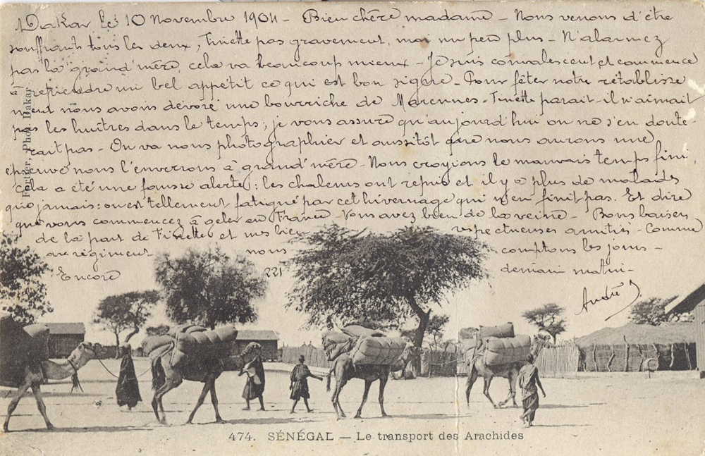 SÉNÉGAL – Le transport des Arachides