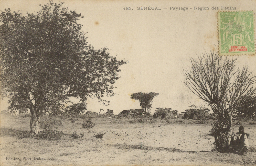 SÉNÉGAL – Paysage – Région des Peulhs