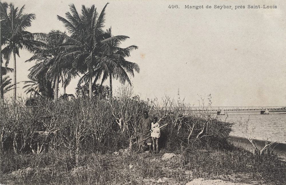 SÉNÉGAL – Marigot de Leybar, près Saint-Louis