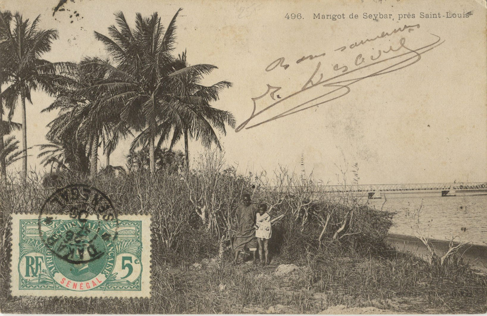 SÉNÉGAL – Marigot de Leybar, près Saint-Louis