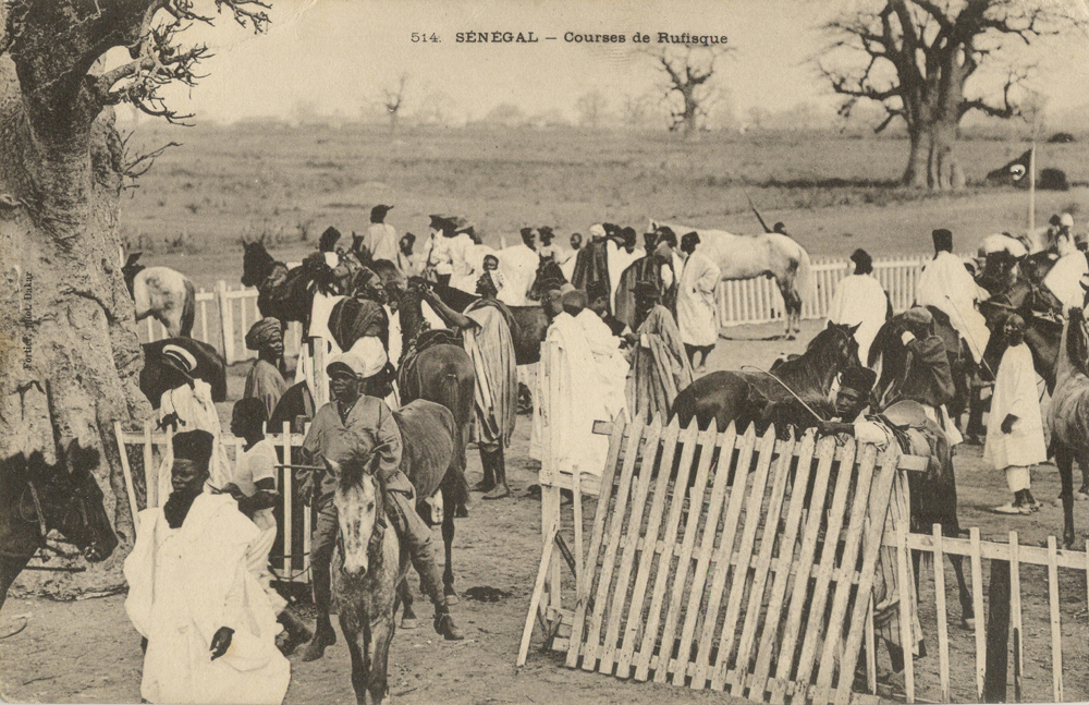 SÉNÉGAL – Courses de Rufisque