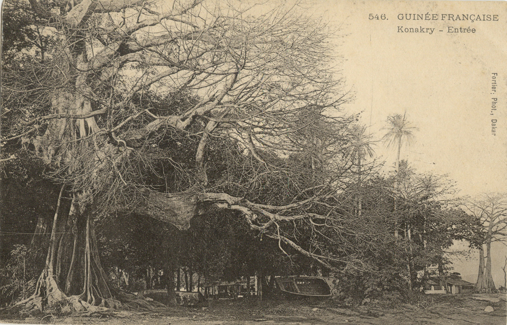 GUINÉE FRANÇAISE – Konakry – Entrée