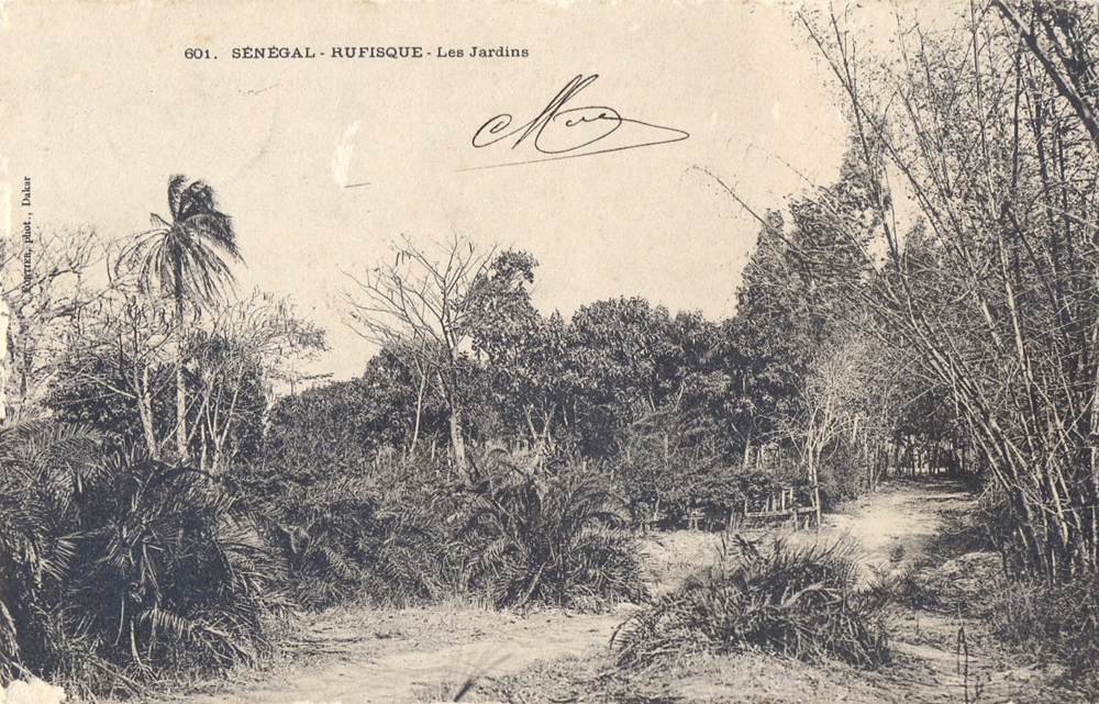 SÉNÉGAL – RUFISQUE – Les Jardins