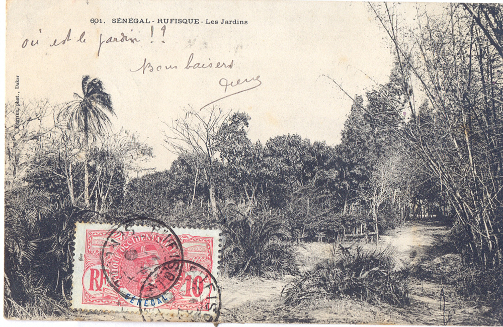 SÉNÉGAL – RUFISQUE – Les Jardins