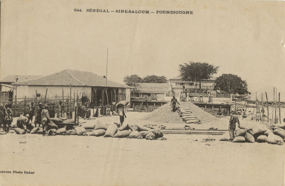 SÉNÉGAL – SINE-SALOUM – FOUNDIOUGNE