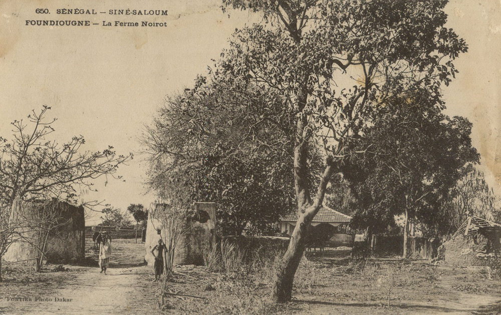 SÉNÉGAL – SINE-SALOUM – FOUNDIOUGNE – La Ferme Noirot