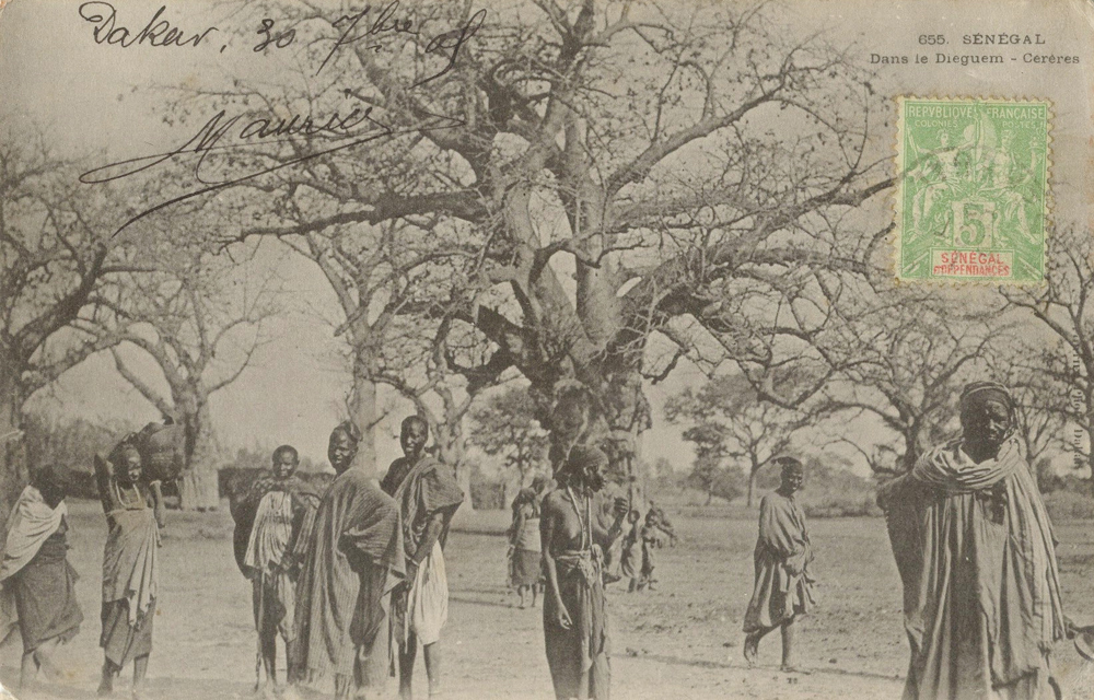 SÉNÉGAL – Dans le Dieguem – Cérères