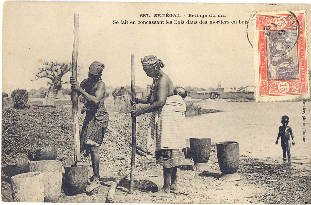 SÉNÉGAL – Battage du mil – Se fait en concassant les Epis dans des mortiers en bois