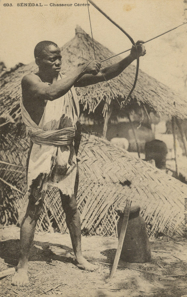 SÉNÉGAL – Chasseur Cérère