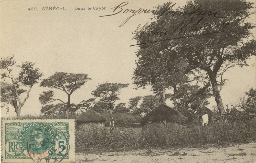 SÉNÉGAL – Dans le Cayor