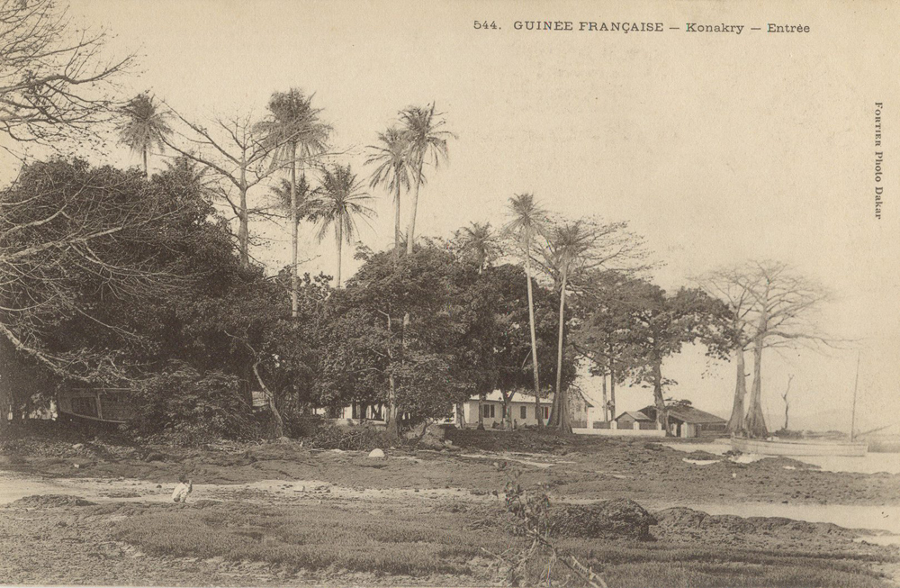 GUINÉE FRANÇAISE – Konakry – Entrée