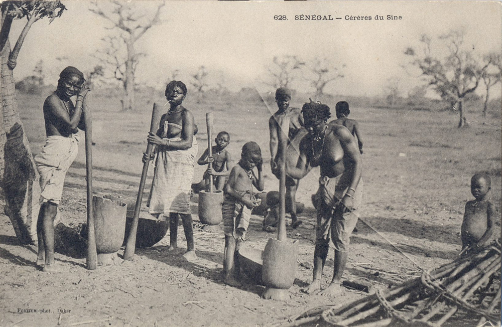 SÉNÉGAL – Cérères du Sine