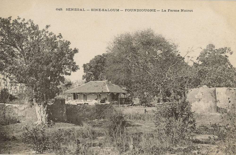 SÉNÉGAL – SINE-SALOUM – FOUNDIOUGNE – La Ferme Noirot