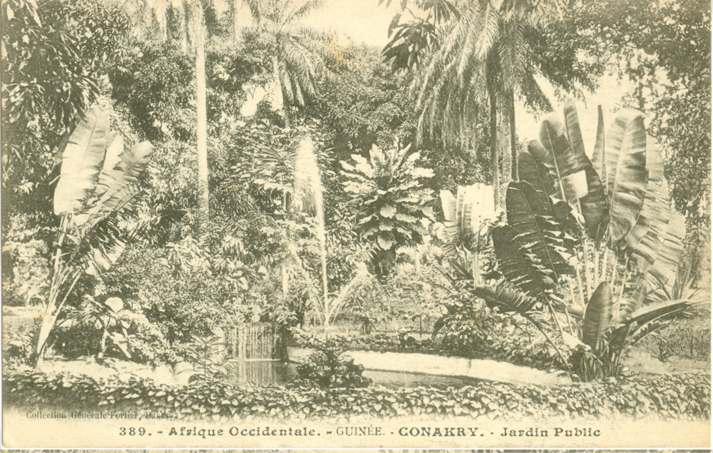 GUINÉE – CONAKRY – Jardin Public