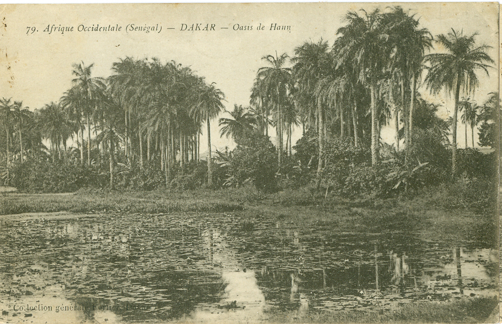 DAKAR – Oasis de Hann