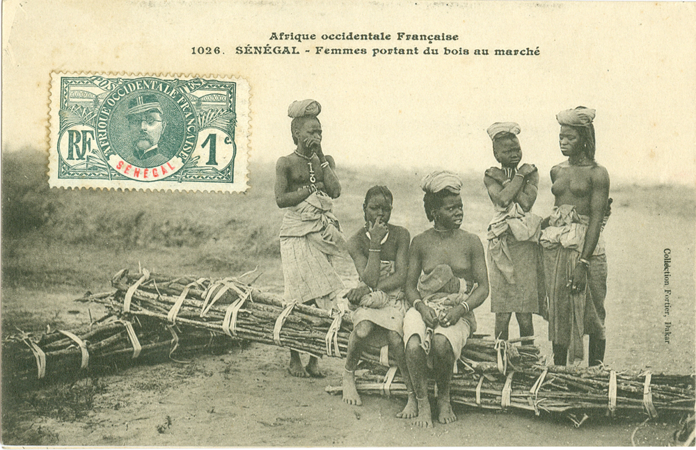 SÉNÉGAL – Femmes portant du bois au marché