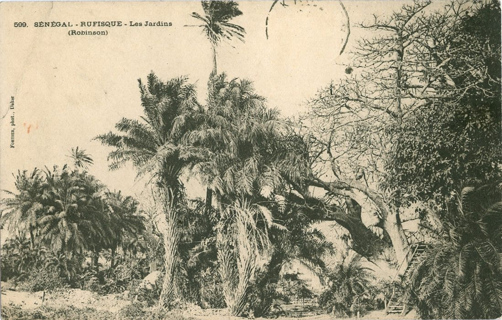 SÉNÉGAL – RUFISQUE – Les Jardins (Robinson)