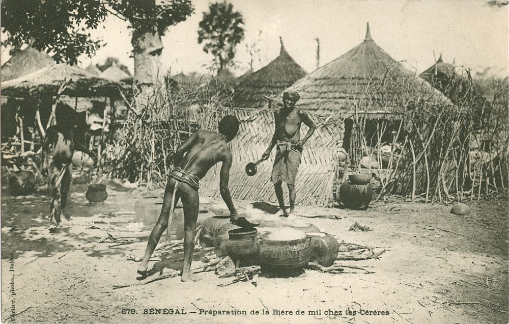 SÉNÉGAL – Préparation de la Bière de mil chez les Cérères